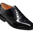 Albert - 黑色 Hi-Shine