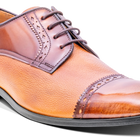 Ashbourne - Etam / 雪松纹