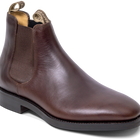 萨顿 - 布朗飞马座